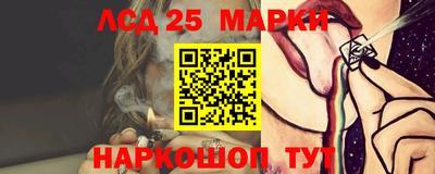 спиды Обь