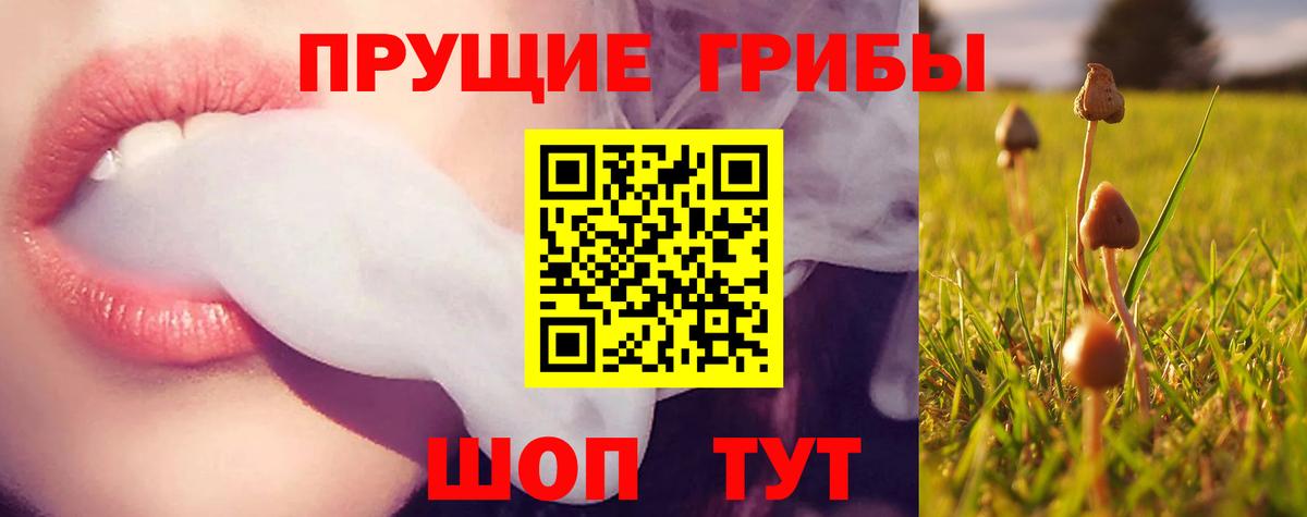 Соликамск  Галлюциногенные грибы MAGIC MUSHROOMS  Вход с VPN 